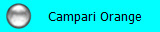 Campari Orange