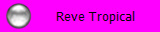 Reve Tropical
